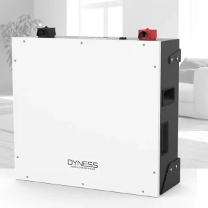 Bateria de Litio Dyness BX51100 5.12kWh 48V Marca Reconocida