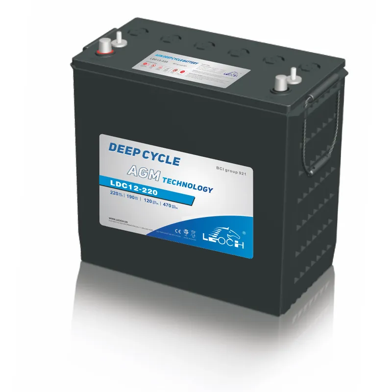 Oferta Limitada Batería AGM Leoch Deep Cycle Carbon LDC12-220 12V 245Ah