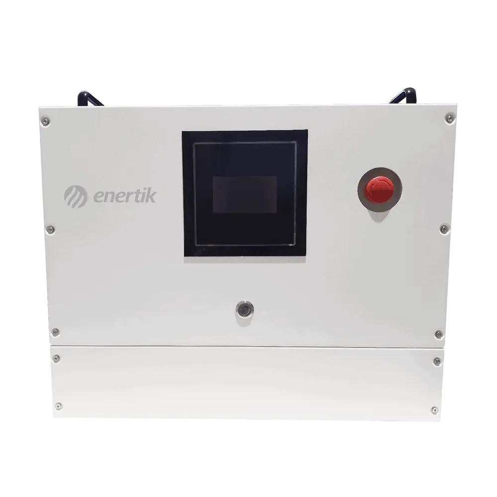 Cargador Automático de Baterías Trifásico – 100A 48~120V Más Vendido