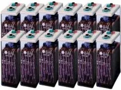 Oferta Flash Batería 24V 1160Ah OPzS BAE