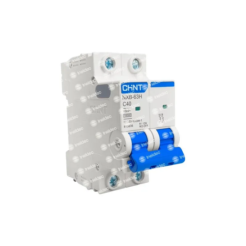 Envío Exprés Breaker de Riel 2X63AC Chint