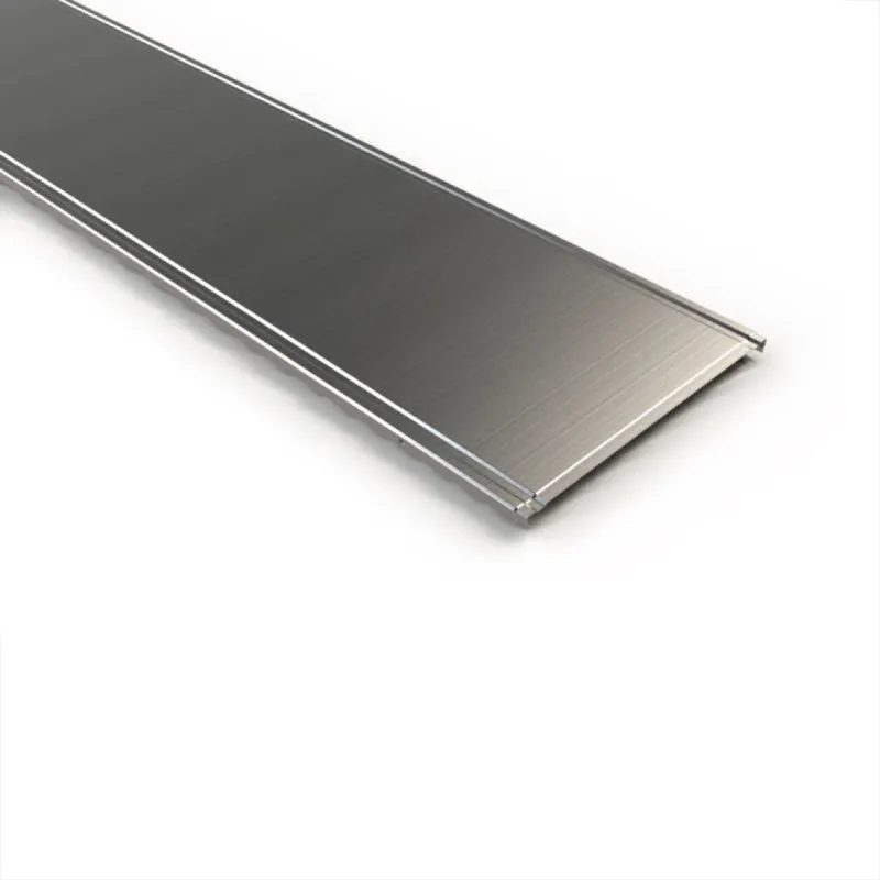 Stock Limitado TAPA PARA BANDEJA 2X8X10 BASOR (E-331)