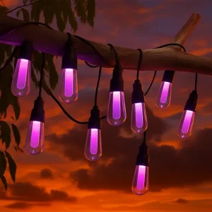 Guirnalda Led Solar de 10 bombillas 8M Exterior IP54 RGBW RGB+W Compra Hoy