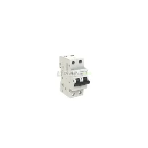 AEG EV62C20 Interruptor magnetotérmico EV60 2P 20A C 6kA 2CDS252090R0204 Entrega Rápida