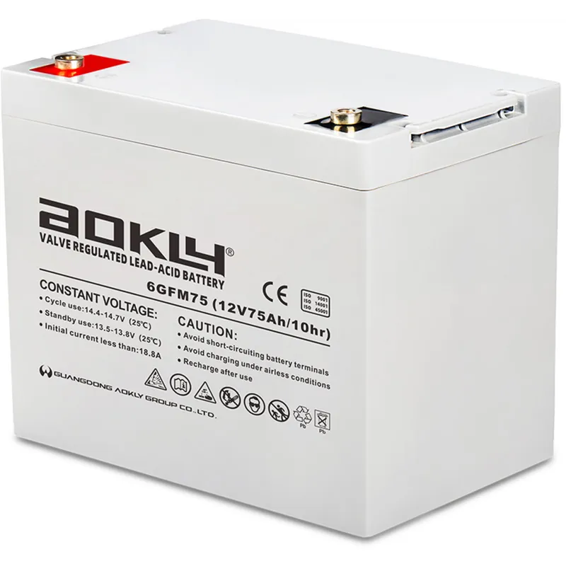 Batería Aokly 6GFM75 Agm Vrla Battery. Tecnología AGM. 12V - 75Ah (260x168x210mm) - Suscribirse al boletín Solo Por Tiempo Limitado