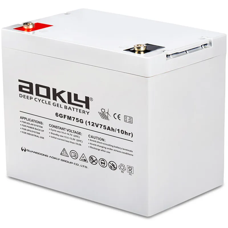 Batería Aokly 6GFM75G Gel Vrla. Tecnología GEL. 12V - 75Ah (260x168x210mm) - Suscribirse al boletín No Te Lo Pierdas