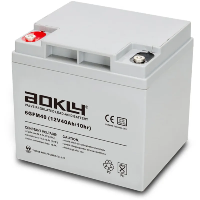 Batería Aokly 6GFM40G Gel Vrla. Tecnología GEL. 12V - 40Ah (198x166x170mm) - Suscribirse al boletín Solo Hoy