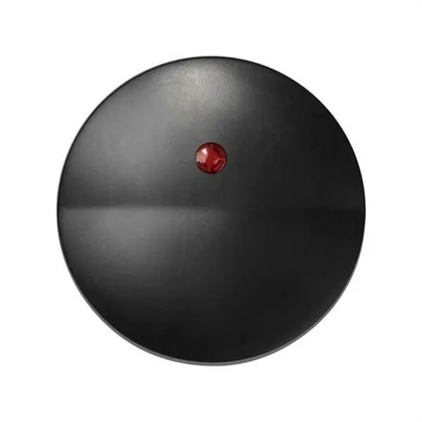 Tecla SIMON 88 para interruptor conmutador con visor piloto grafito Solo Por Tiempo Limitado