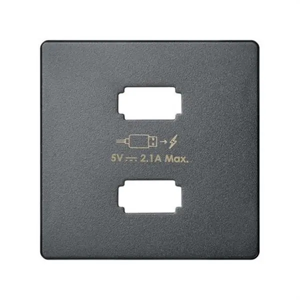 Venta Final Placa cargador SIMON 82 2xUSB 5V DC 2.1 tipo A titanio