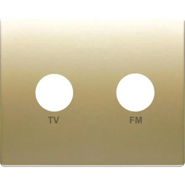 Bestseller Tapa para tomas TV-FM serie Iris en dorado odisea