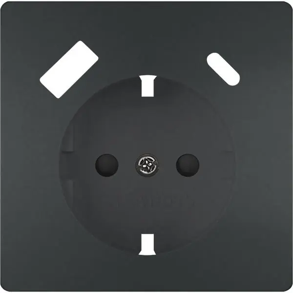 Envío Gratis Tapa base enchufe seguridad STYLE USB AC, antracita cos