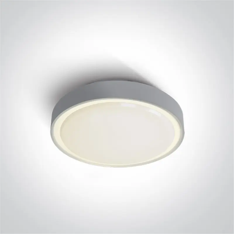 Últimas Unidades Plafon superficie ONE LIGHT 67280E/G gris IP65